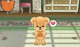 クマ・トモ