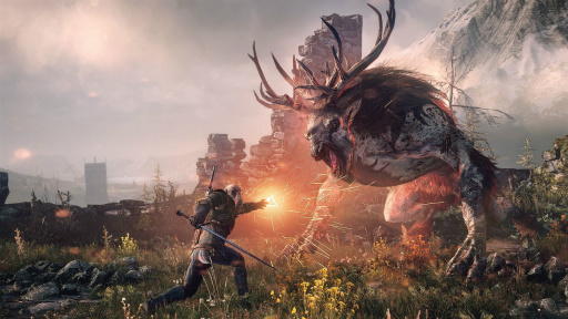 画像ギャラリー No.013のサムネイル画像 / 【Jerry Chu】レベルの概念のない「The Witcher 3」を想像して