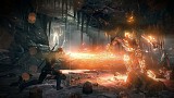 ウィッチャー3 ワイルドハント