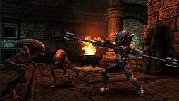 AVP： Evolution