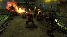 AVP： Evolution
