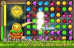 スマイルプラント