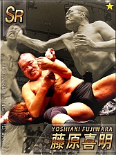 画像ギャラリー No.008のサムネイル画像 / 実名レスラーは100人以上。「激闘!!プロレスカードバトル」，GREEで配信開始