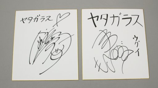画像ギャラリー No.010のサムネイル画像 / AC版「ヤタガラス」に間もなくアップデートが。新たに参戦する“ウグイ”役の松本 忍さんと，“謎のキャラクター”役の金元寿子さんに，キャラクターの魅力を聞いてみた