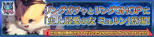 画像ギャラリー No.003のサムネイル画像 / 「チェインクロニクル3」，“ヒロイックフェス”が本日スタート