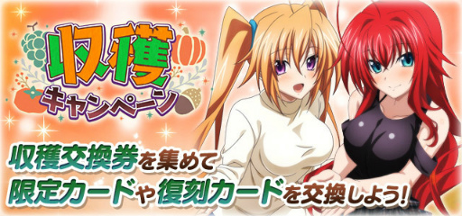 画像ギャラリー No.007のサムネイル画像 / 「ハイスクールD×D」，温泉美女と湯けむり浪漫イベントを開催