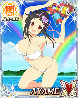 画像ギャラリー No.014のサムネイル画像 / 「閃乱カグラ NewWave Gバースト」，バハムートブレイブとコラボを実施