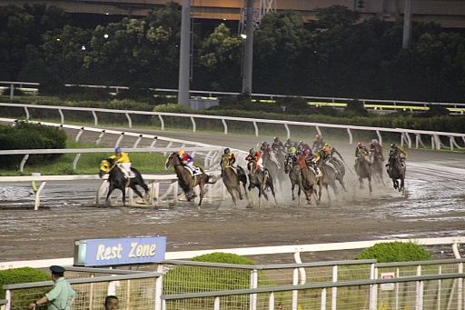画像ギャラリー No.008のサムネイル画像 / 「Winning Post」シリーズの冠レースが大井競馬場で開催。ソフトやPS Vita本体が当たる抽選会も実施中