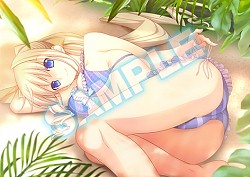 画像ギャラリー No.002のサムネイル画像 / 「マブラヴ photonmelodies♮」，店舗別予約特典の内容と使用イラストを公開