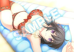 画像ギャラリー No.003のサムネイル画像 / 「マブラヴ photonmelodies♮」，店舗別予約特典の内容と使用イラストを公開