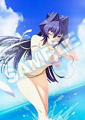 画像ギャラリー No.006のサムネイル画像 / 「マブラヴ photonmelodies♮」，店舗別予約特典の内容と使用イラストを公開