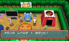 画像ギャラリー No.102のサムネイル画像 / 「ポケットモンスター オメガルビー・アルファサファイア」，マボロシのばしょで伝説のポケモン達に会う条件や，メガストーンの入手方法がすべて公開に