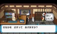 画像ギャラリー No.129のサムネイル画像 / 「ポケットモンスター オメガルビー・アルファサファイア」，マボロシのばしょで伝説のポケモン達に会う条件や，メガストーンの入手方法がすべて公開に