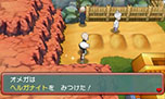 画像ギャラリー No.138のサムネイル画像 / 「ポケットモンスター オメガルビー・アルファサファイア」，マボロシのばしょで伝説のポケモン達に会う条件や，メガストーンの入手方法がすべて公開に