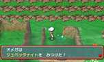 画像ギャラリー No.154のサムネイル画像 / 「ポケットモンスター オメガルビー・アルファサファイア」，マボロシのばしょで伝説のポケモン達に会う条件や，メガストーンの入手方法がすべて公開に