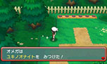 画像ギャラリー No.166のサムネイル画像 / 「ポケットモンスター オメガルビー・アルファサファイア」，マボロシのばしょで伝説のポケモン達に会う条件や，メガストーンの入手方法がすべて公開に