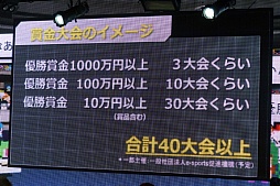 画像ギャラリー No.009のサムネイル画像 / 「闘会議2016」の発表会が開催。賞金・賞品総額1億円超のゲーム大会「闘会議GP」など，の企画内容が明らかに