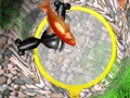 手のひらで涼しい遊びを。スマホ向けアクションゲーム「桜金魚すくい」を紹介する「（ほぼ）日刊スマホゲーム通信」第612回