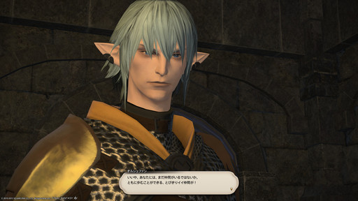画像ギャラリー No.012のサムネイル画像 / 「FFXIV」，マフィア梶田の仰天イシュガルド：番外編「聖夜のエオ充にダラガブ落としたかったけどそれはともかく座談会」