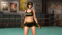 画像ギャラリー No.009のサムネイル画像 / まさかの2連アナログスティック付き。DOA5：Last RoundコラボのアケコンをHORIが発表