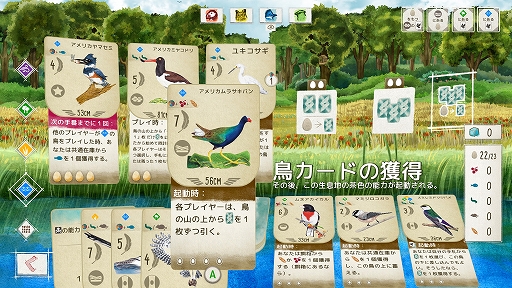 画像ギャラリー No.005のサムネイル画像 / ハロー！Steam広場 第314回：野鳥を集めて保護区を豊かにしていく戦略カードゲーム「Wingspan」