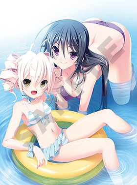 画像ギャラリー No.005のサムネイル画像 / 「百花繚乱エリクシル」限定版同梱のタペストリーと，店舗別特典の内容が公開