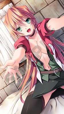 画像ギャラリー No.010のサムネイル画像 / 「百花繚乱エリクシル」限定版同梱のタペストリーと，店舗別特典の内容が公開