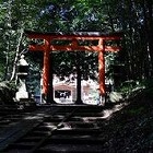 画像ギャラリー No.009のサムネイル画像 / 「シムシティ ビルドイット」，“サボテン・キャニオン”などの新マップが実装