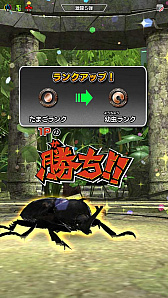画像ギャラリー No.021のサムネイル画像 / 「新甲虫王者ムシキング」，“激闘第5弾”が稼働開始。33種類以上の新カードが登場