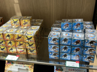 画像ギャラリー No.006のサムネイル画像 / 「甲虫王者ムシキング 20周年記念 POP UP SHOP in OIOI」マルイシティ横浜にて開催。かつて共に闘った甲虫たちと再会しよう！