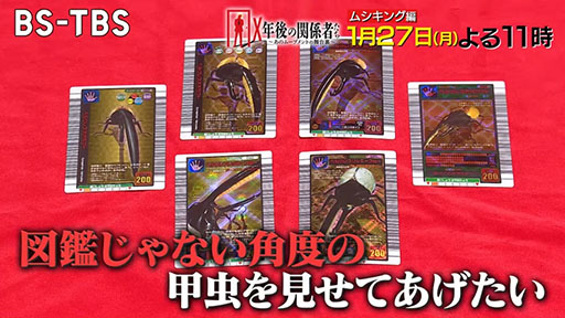 画像ギャラリー No.002のサムネイル画像 / 一大ムーブメントを巻き起こした「甲虫王者ムシキング」の光と闇を紐解く特集番組，BS-TBS「X年後の関係者たち」で1月27日に放送