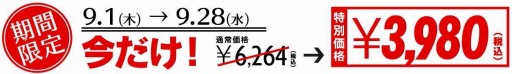 画像ギャラリー No.007のサムネイル画像 / 「鉄道にっぽん！路線たび 近江鉄道編」のDL版がeショップで9月1日に配信開始