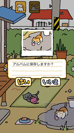 画像ギャラリー No.008のサムネイル画像 / 可愛らしい猫達に魅了されること間違いなし。スマホ向け猫収集ゲーム「-ねこあつめ-」を紹介する「(ほぼ)日刊スマホゲーム通信」第792回