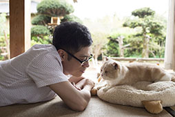 画像ギャラリー No.004のサムネイル画像 / 大ヒットアプリ「ねこあつめ」が俳優の伊藤淳史さん主演で実写映画化。2017年に全国公開決定