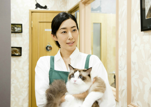 画像ギャラリー No.003のサムネイル画像 / 実写映画「ねこあつめの家」，猫まみれな特報ムービーが公開。田口トモロヲさん，木村多江さん，大久保佳代子さんも出演決定