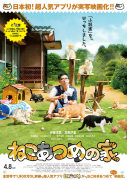 画像ギャラリー No.001のサムネイル画像 / 実写映画「ねこあつめの家」,キャット版メインビジュアルを公開