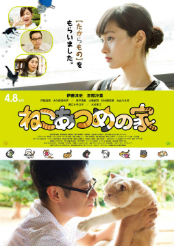 画像ギャラリー No.002のサムネイル画像 / 実写映画「ねこあつめの家」,キャット版メインビジュアルを公開