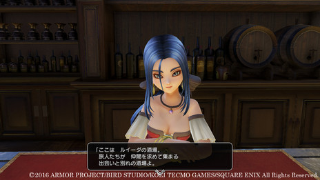 画像ギャラリー No.006のサムネイル画像 / 「ドラゴンクエストヒーローズII」，主人公の拠点となるゼビオンの城下町やさまざまな冒険フィールドの情報が公開