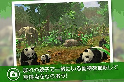 画像ギャラリー No.002のサムネイル画像 / 野生の動物を撮影する「リアルサファリ 」，有料版と無料版が配信スタート