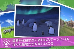 画像ギャラリー No.003のサムネイル画像 / 野生の動物を撮影する「リアルサファリ 」，有料版と無料版が配信スタート