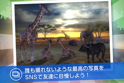 画像ギャラリー No.005のサムネイル画像 / Android版「リアルサファリ - 動物をさがそう」がauスマートパスで提供開始
