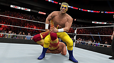 画像ギャラリー No.004のサムネイル画像 / 「WWE 2K15」の配信がSteamで開始。2Kの展開する「WWE 2K」シリーズが本作でPCプラットフォームデビュー
