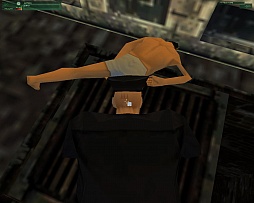 画像ギャラリー No.017のサムネイル画像 / 東京レトロゲームショウ2015：第16回「Hitman: Codename 47」で，あの寡黙な殺し屋のルーツを探る