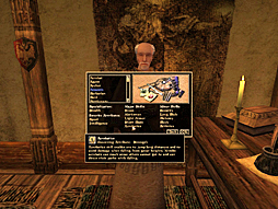 画像ギャラリー No.005のサムネイル画像 / 東京レトロゲームショウ2016：第39回　「The Elder Scrolls」の新作が待ちきれないので，「The Elder Scrolls III: Morrowind」で積極的に我慢したい