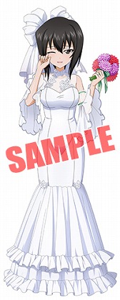 画像ギャラリー No.005のサムネイル画像 / 「ガールズ＆パンツァー 戦車道大作戦！」，ジューンブライド衣装の生徒が登場