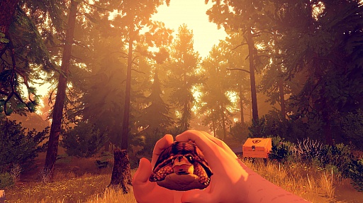 画像ギャラリー No.003のサムネイル画像 / ［E3 2015］インディーズタイトル「Firewatch」がPlayStation 4向けにもリリースへ。プレイムービーが公開に