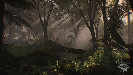 画像ギャラリー No.004のサムネイル画像 / ベトナム戦争を描いた新作FPS「Rising Storm 2： Vietnam」の開発状況をTripwire Interactiveが久々に報告
