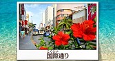 画像ギャラリー No.009のサムネイル画像 / 「鉄道にっぽん！路線たび ゆいレール編」の発売日が8月27日に決定