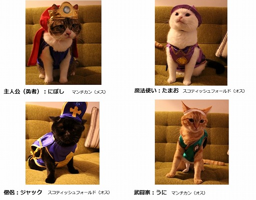 画像ギャラリー No.001のサムネイル画像 / 「星ドラ」，猫たちが勇者に扮したWebムービーを2月22日の猫の日に公開