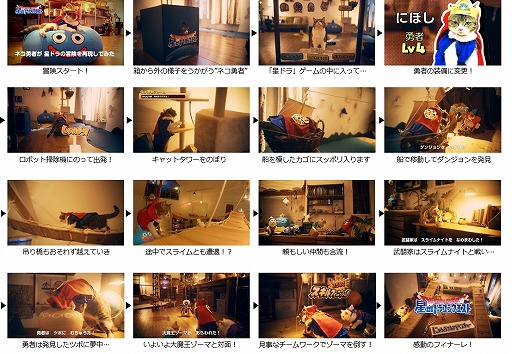 画像ギャラリー No.005のサムネイル画像 / 「星ドラ」，猫たちが勇者に扮したWebムービーを2月22日の猫の日に公開